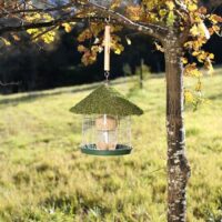 Wild Bird Feeder - Image 5